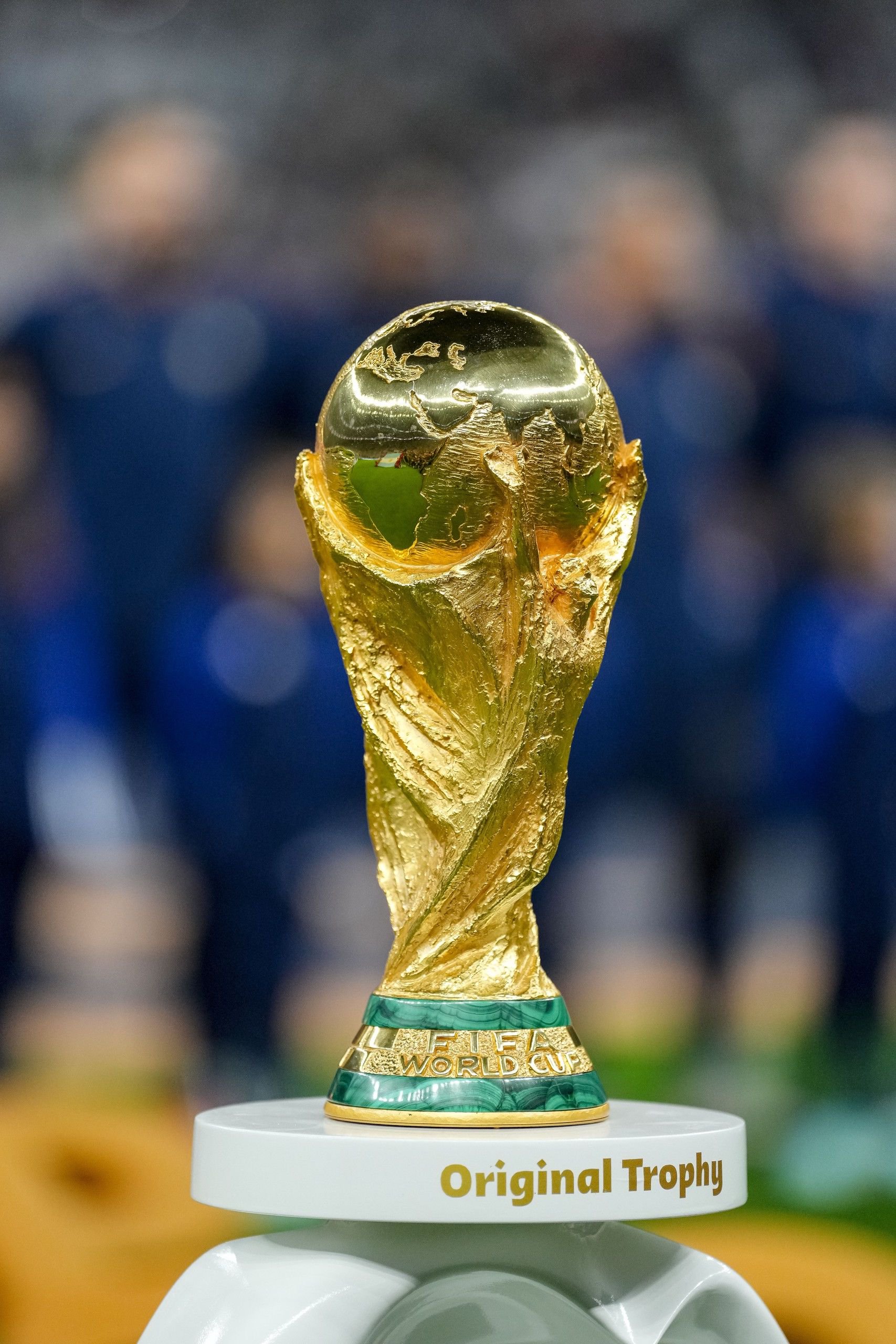 小规模的茶籽油生产线