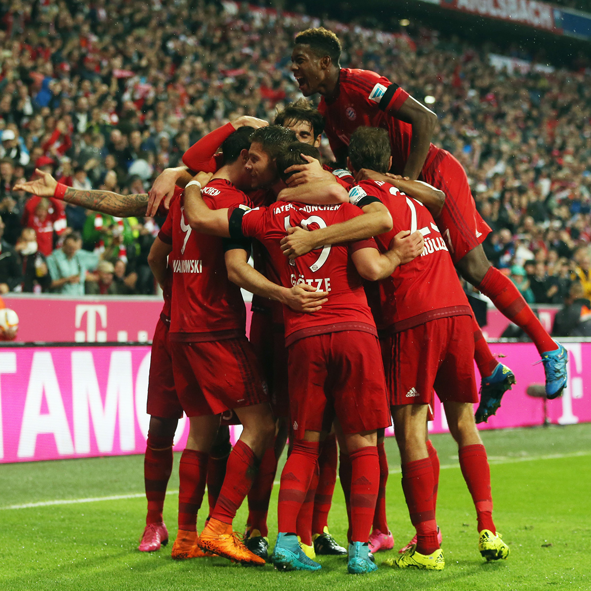 50吨植物油精炼设备